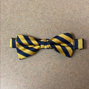 Navy Blue and Gold Bow Tie